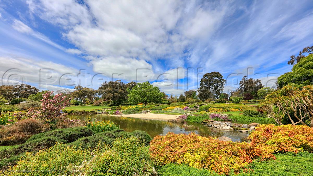 Peter Bellingham Photography Japanese Garden - Cowra